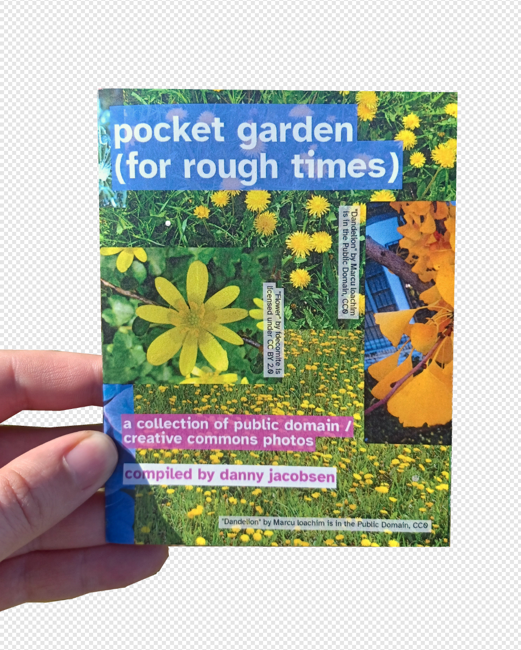My hand holding an oversized minizine titled "pocket garden (for rough times)".